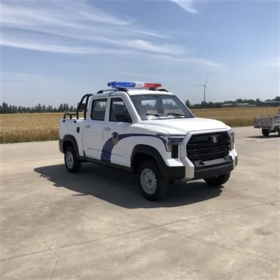 Mașină electrică de patrulare